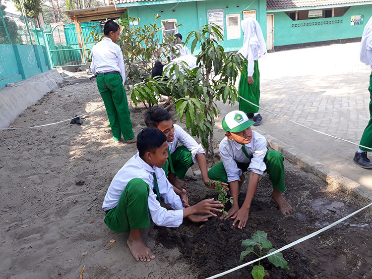 Praktek menanam pohon di kebun MI.MU Praktek menanam pohon di kebun MI.MU